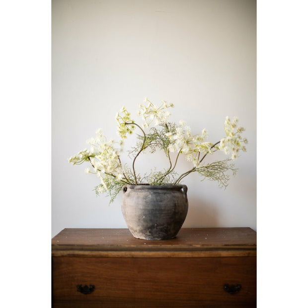 Amaris White Wildflowers