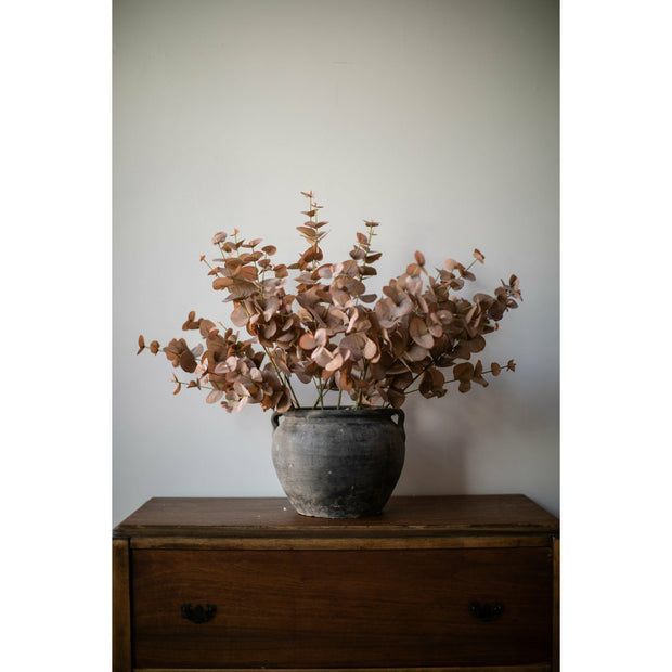 Dania Eucalyptus Leaves