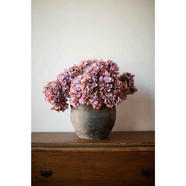 Pamela Mauve Hydrangea