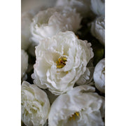 White Peony Bouquet - Large