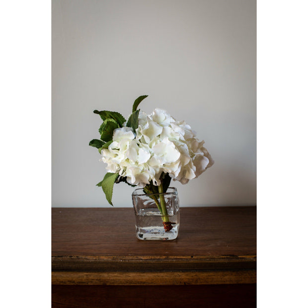 Hydrangea Cutting - White