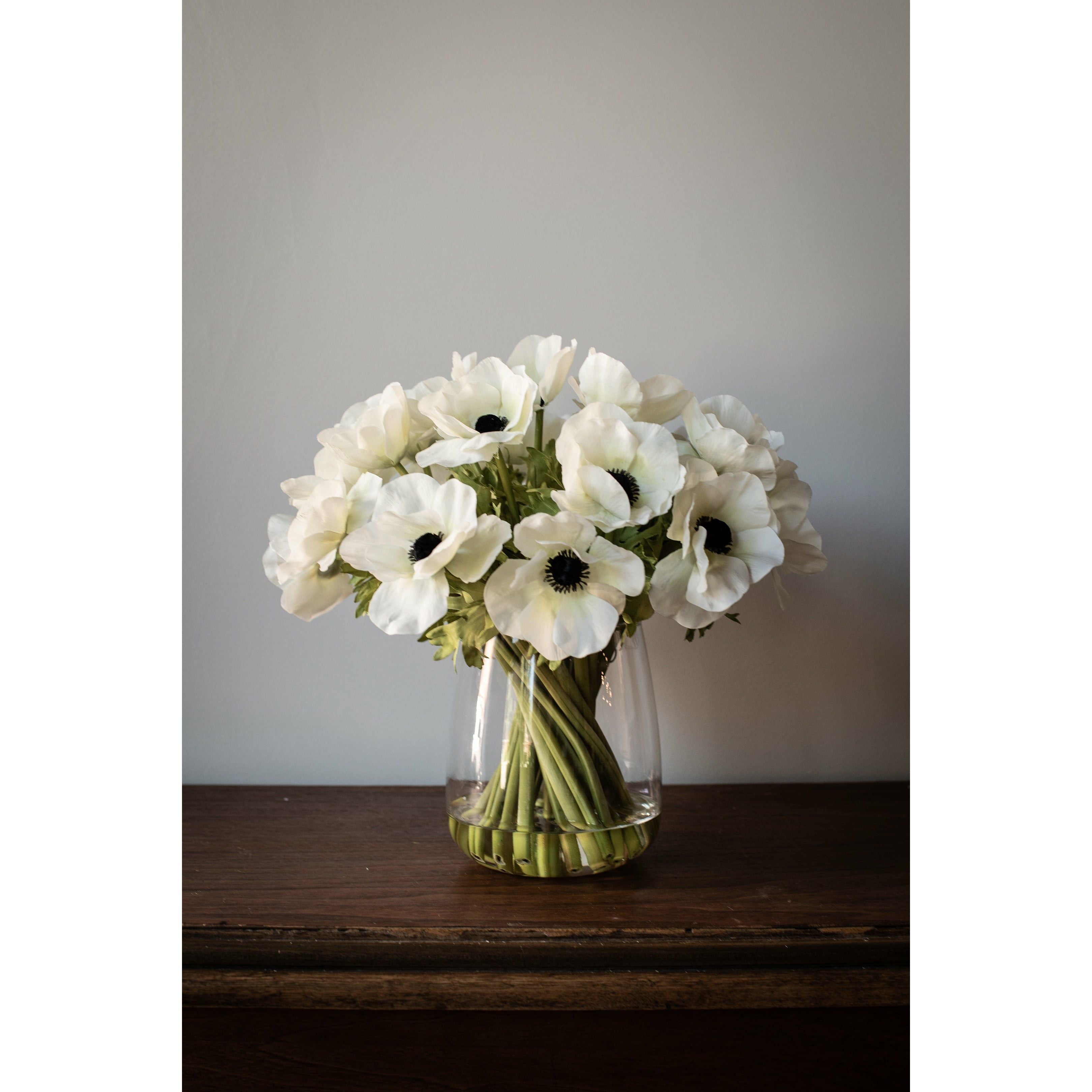 Anemone Arrangement 12