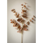 Dania Eucalyptus Leaves