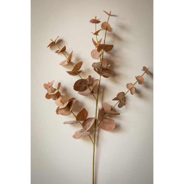 Dania Eucalyptus Leaves