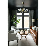 6.5' Japanese Fukuji Rubber Tree