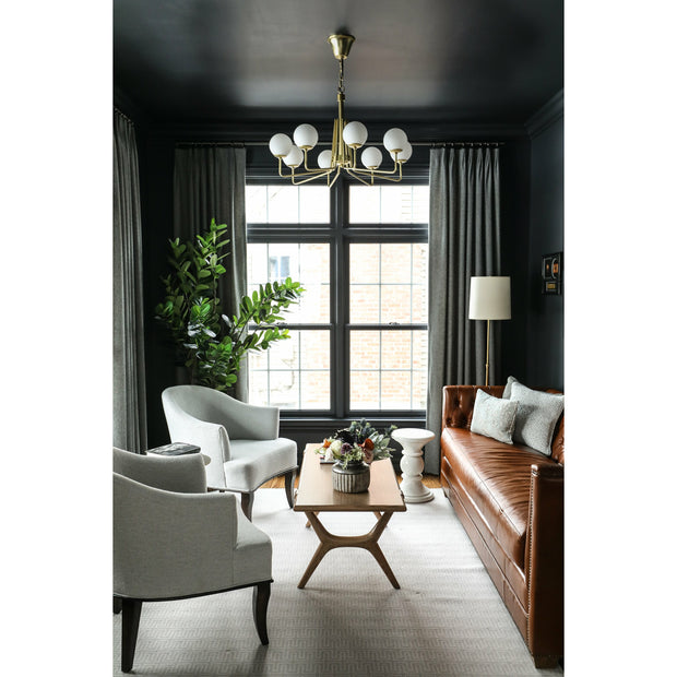 6.5' Japanese Fukuji Rubber Tree