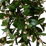 Holly Branch with White Berries, 47" L