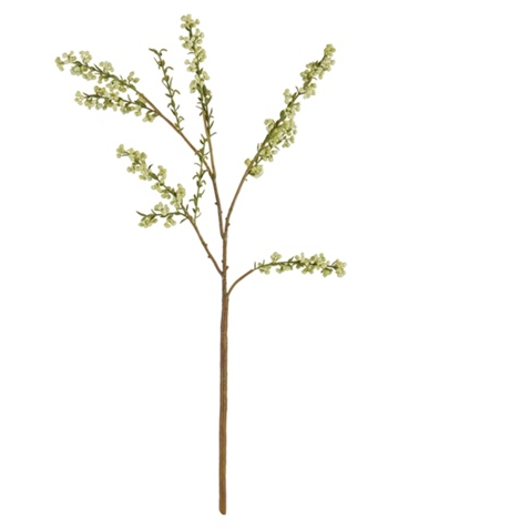 Blossom Bud Stem - 24"
