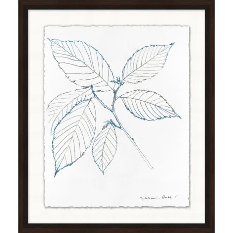 Floral Sketch 1 Wall Art