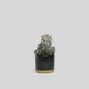 Norden 5" Planter (Black Speckle)