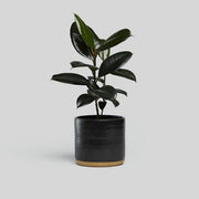 Norden 7" Planter (Black Speckle)