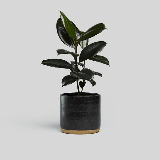 Norden 7" Planter (Black Speckle)