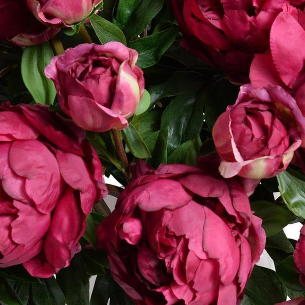 Peony Bouquet in Glass Cylinder (Large) - Fuchsia