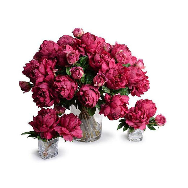 Peony Bouquet in Glass Cylinder (Large) - Fuchsia