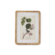 Bird Botanical Frame