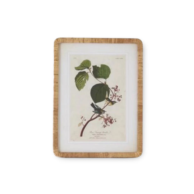 Bird Botanical Frame