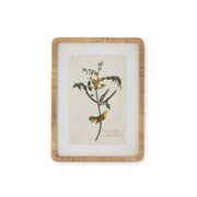 Bird Botanical Frame