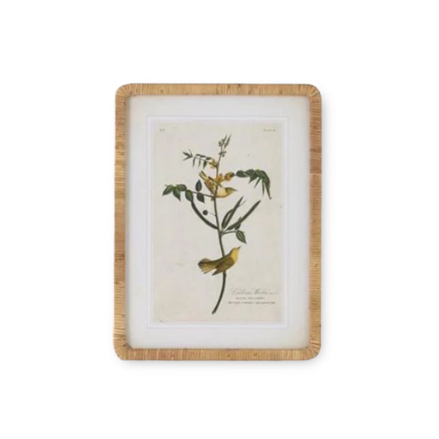 Bird Botanical Frame