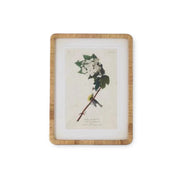 Bird Botanical Frame