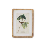 Bird Botanical Frame