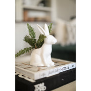 Garden Bunny Planter