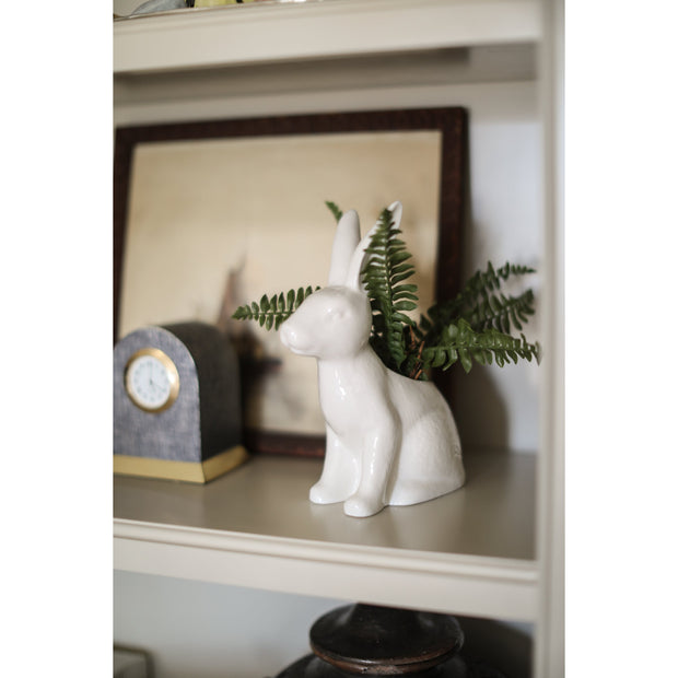 Boston Fern Drop-In 7.5"