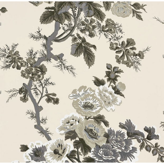 Pyne Hollyhock- Charcoal