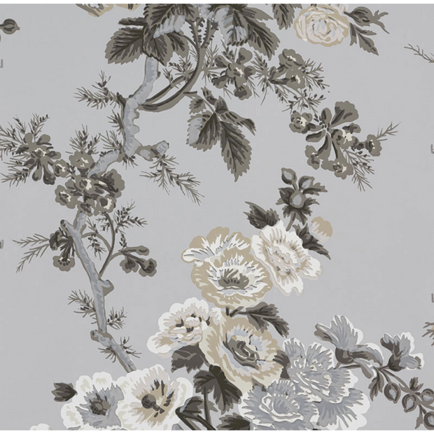 Pyne Hollyhock- Grisaill