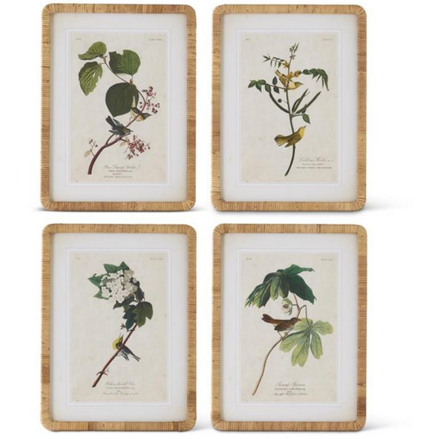 Bird Botanical Frame