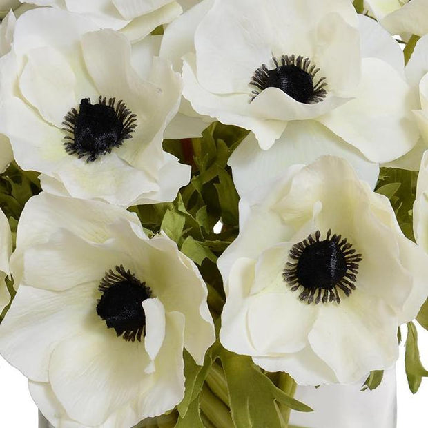Anemone Arrangement 12"- White