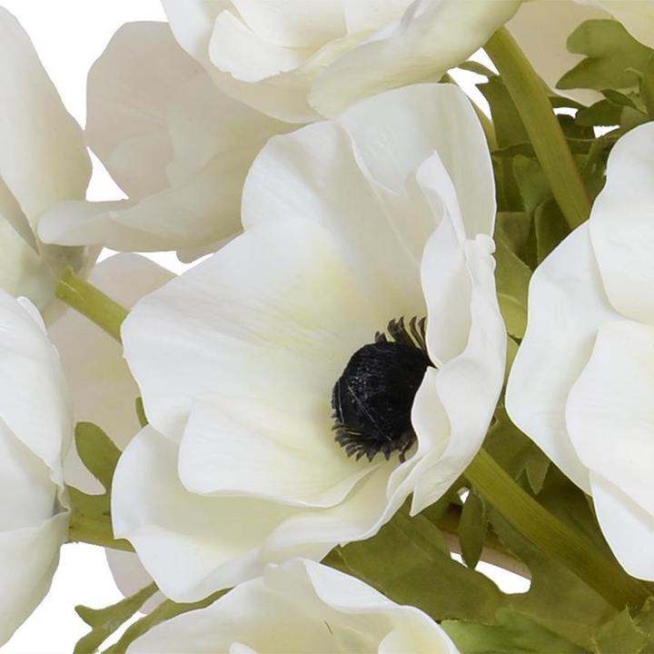 Anemone Arrangement 12