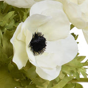 Anemone Arrangement 12"- White