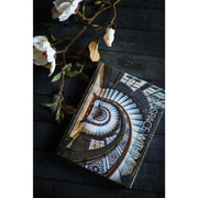 The Space Within: Inside Great Chicago Buildings