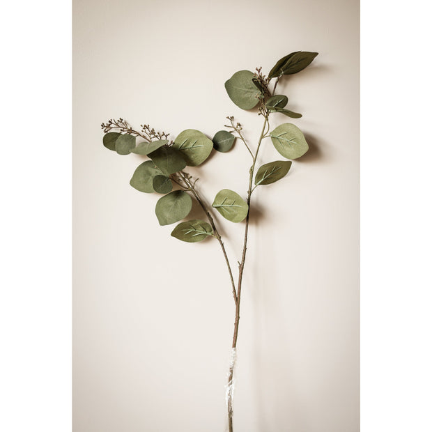 Silver Dollar Eucalyptus Branch 32"