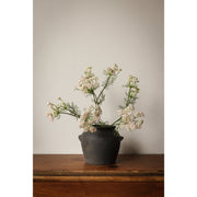 35" Pink Dill Flower Stem