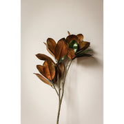 Grand Magnolia Leaf Stem 42.5"
