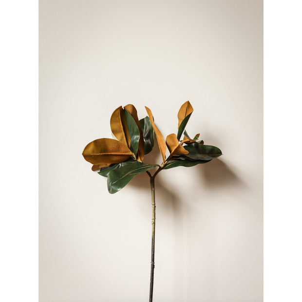 Magnolia Leaf Spray - 22" L