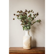 Wild Blackberry Stem - 31"