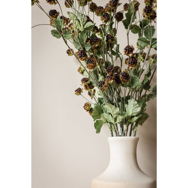 Wild Blackberry Stem - 31"