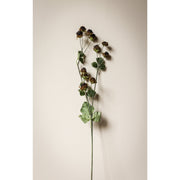 Wild Blackberry Stem - 31"