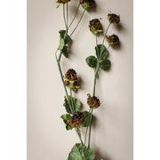 Wild Blackberry Stem - 31"