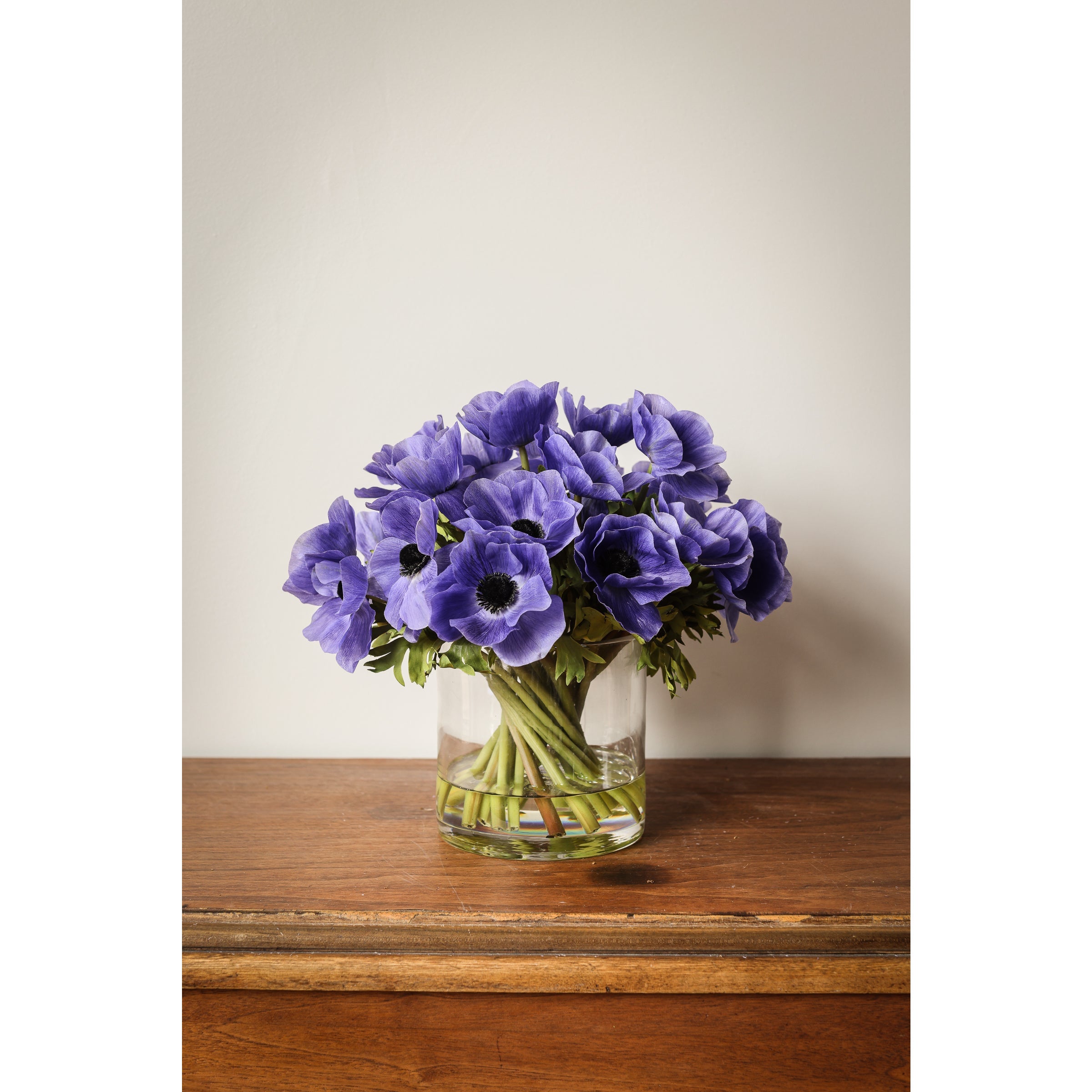 Anemone Arrangement - Violet