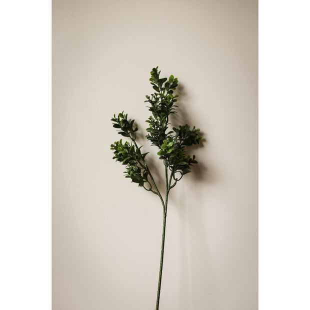 Boxwood Shrub Small Branch, 25.5"L