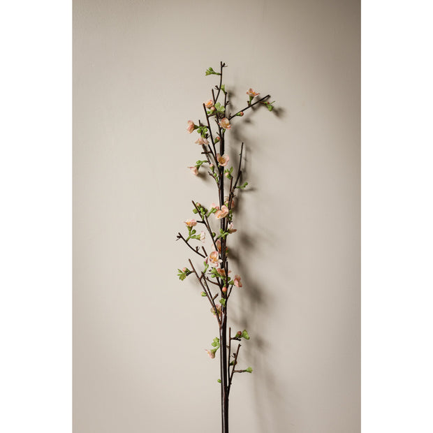 47" Quince Branch - Peach