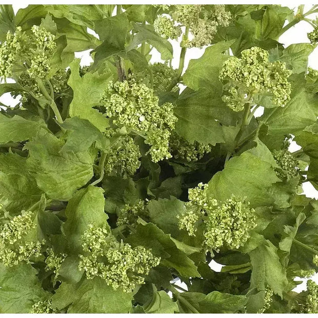 Alda Viburnum Bouquet- Green