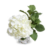 Hydrangea Cutting - White