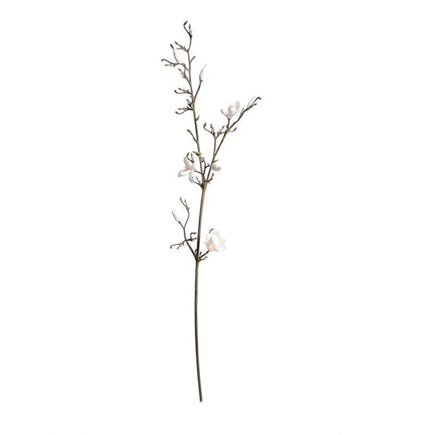 Magnolia Tree Branch - 60" L
