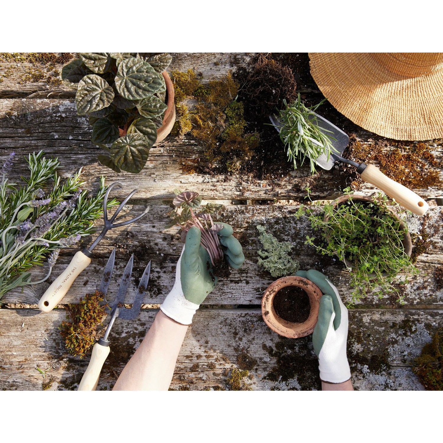 Lexington Potting Trowel