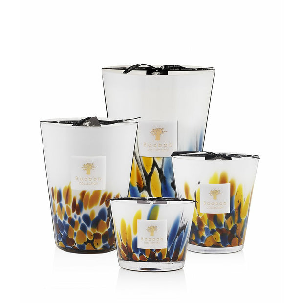 Rainforest - Mayumbe Candle