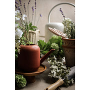 Kailan Stoneware Watering Can